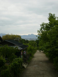 2008.5.11.10.jpg