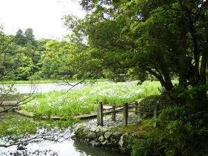 7455c3f6.jpg