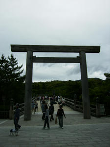 1f0d9920.jpg