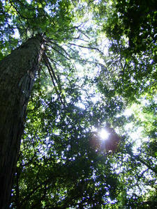 2008.7.13.2.jpg