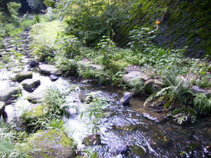 2008.7.13.5.jpg