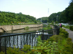 2008.7.13.6.jpg