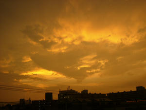 2008.8.2.jpg