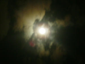 f326c7e5.jpg