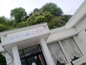CA3C0568.jpg