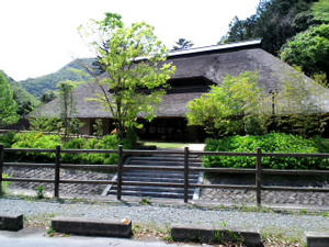 92de040a.jpg