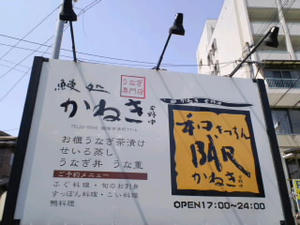 56397193.jpg