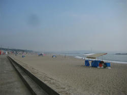 IMG_0649b.jpg