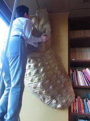RIMG0505.jpg
