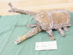RIMG2477.JPG