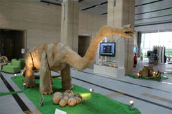 IMG_075b3.jpg