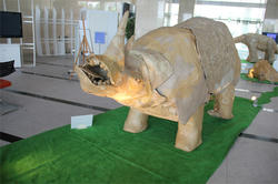 IMG_0752b.jpg