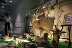 IMG_0995b.jpg
