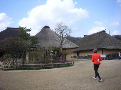 P1140256_500.JPG