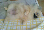 200707161519000.jpg
