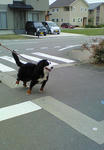 200707161706001.jpg