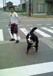 200707161706002.jpg