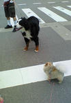 200707161707000.jpg