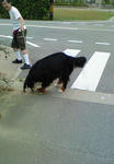200707161708000.jpg