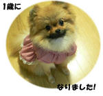7ed4ca70bfd634f09a27a88d83e98d4b.jpg