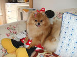 2007_04040036.JPG