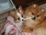 2007_04040145.JPG
