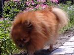 DSC00012.JPG