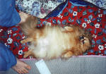 Scan10053.JPG