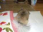 DSCF0545.JPG