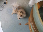 DSCF0551.JPG