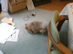 DSCF0550.JPG