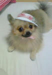 200709250843000.jpg