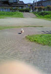 200710031306000.jpg