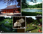 ee082a5d.gif