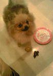 200711041742000.jpg
