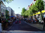 111.JPG