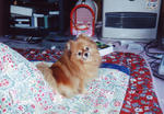 Scan10014.JPG