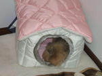 DSCF0672.JPG