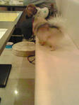 c8755121.jpg
