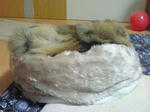 a51c7d6f.jpg