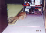 06efcdb6.JPG