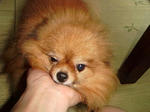 DSC00006.JPG