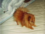 Scan10057.JPG