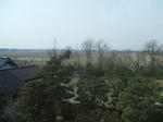 102.JPG