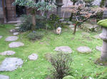 136.JPG
