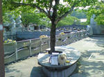 176.jpg