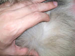 16f85432.JPG