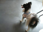 DSCF1046.JPG