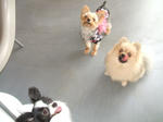 DSCF1047.JPG
