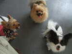 DSCF1048.JPG